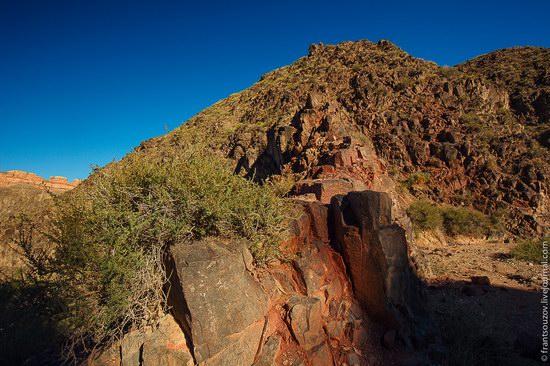 Charyn Canyon, Kazakhstan, photo 21