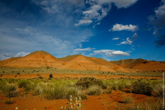 Scenic Landscapes of Almaty Region, Kazakhstan, photo 16