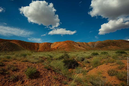 Scenic Landscapes of Almaty Region, Kazakhstan, photo 9