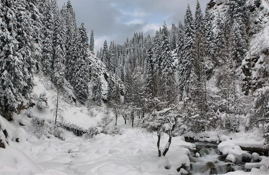 Winter in Trans-Ili Alatau, Kazakhstan, photo 3