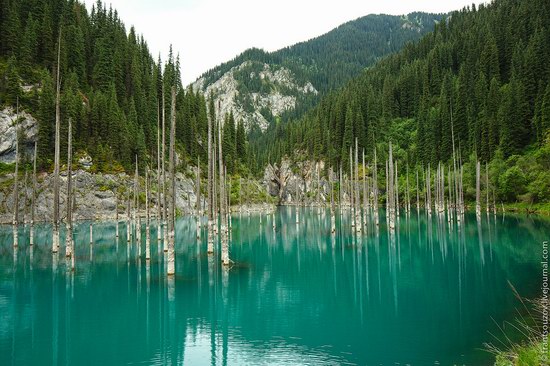 Sunken Forest, Kaindy Lake, Kazakhstan, photo 10