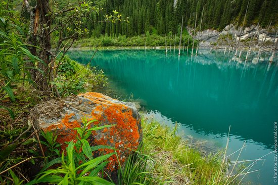 Sunken Forest, Kaindy Lake, Kazakhstan, photo 11