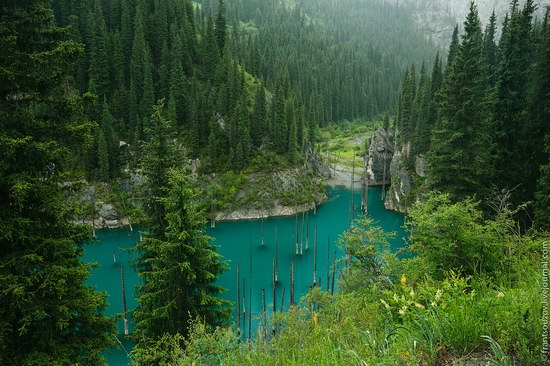 Sunken Forest, Kaindy Lake, Kazakhstan, photo 12