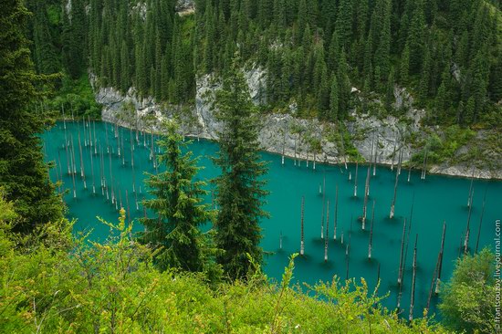 Sunken Forest, Kaindy Lake, Kazakhstan, photo 13