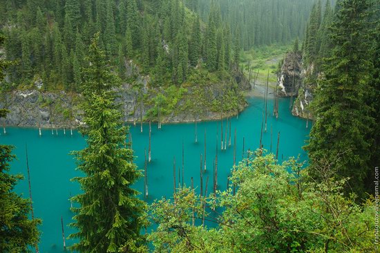 Sunken Forest, Kaindy Lake, Kazakhstan, photo 14