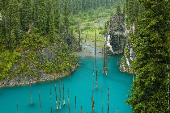 Sunken Forest, Kaindy Lake, Kazakhstan, photo 15