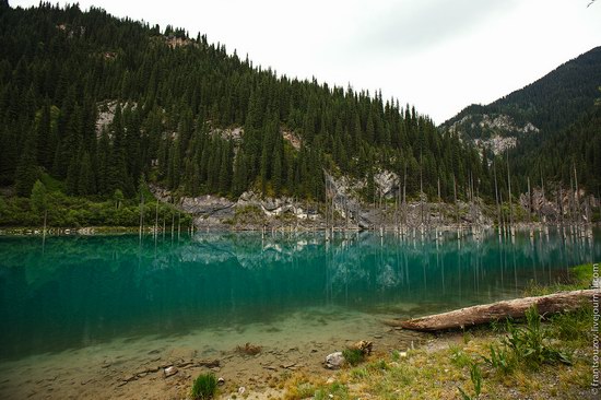 Sunken Forest, Kaindy Lake, Kazakhstan, photo 2