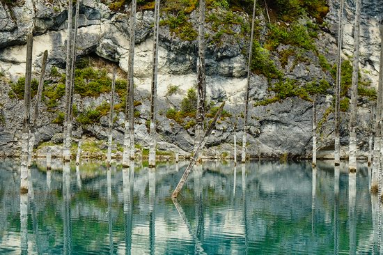 Sunken Forest, Kaindy Lake, Kazakhstan, photo 3