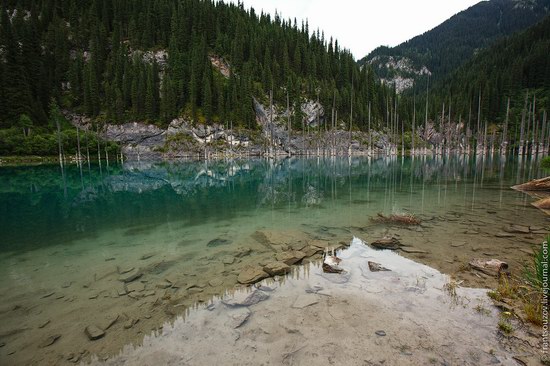 Sunken Forest, Kaindy Lake, Kazakhstan, photo 4