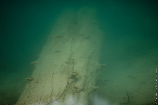 Sunken Forest, Kaindy Lake, Kazakhstan, photo 5