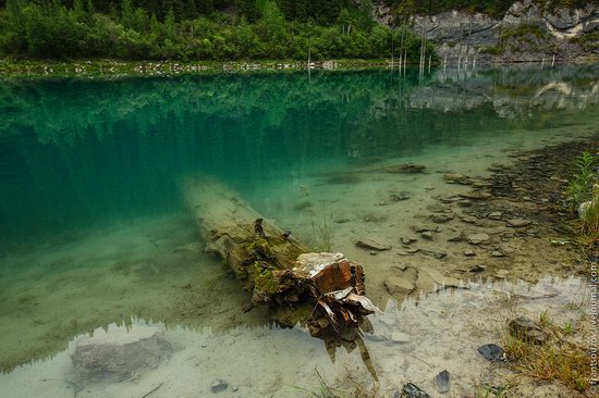 Sunken Forest, Kaindy Lake, Kazakhstan, photo 6