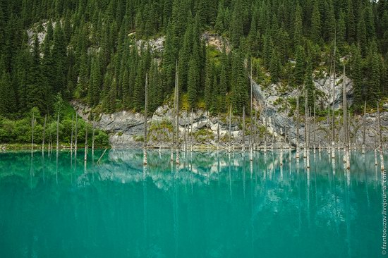 Sunken Forest, Kaindy Lake, Kazakhstan, photo 7