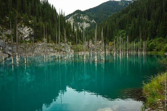 Sunken Forest, Kaindy Lake, Kazakhstan, photo 8