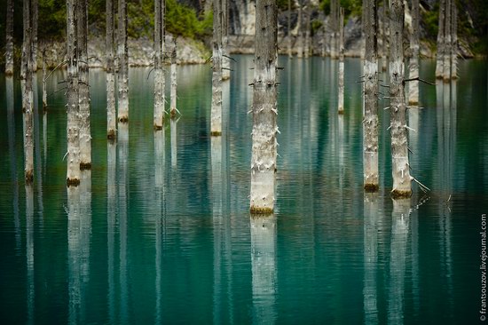 Sunken Forest, Kaindy Lake, Kazakhstan, photo 9