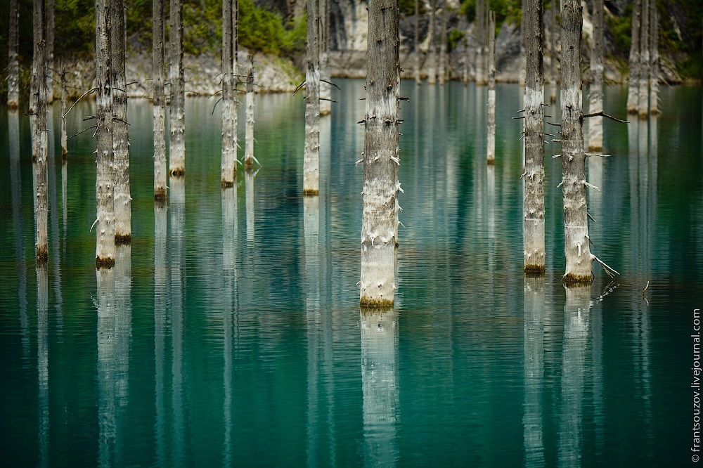 Underwater Forest Of Lake Kaindy Underwater Forest Of Lake Kaindy