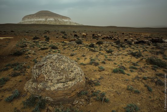 Alien landscapes around Mount Shergala, Kazakhstan, photo 2