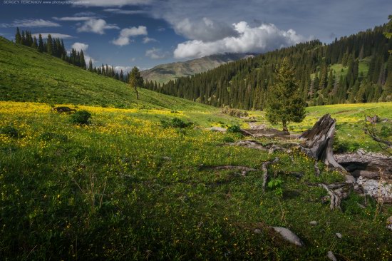 Tekes, Almaty region, Kazakhstan, photo 3