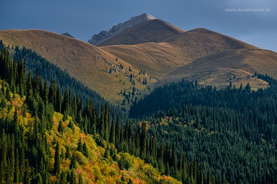 David Koester, Kazakhstan, photo 7