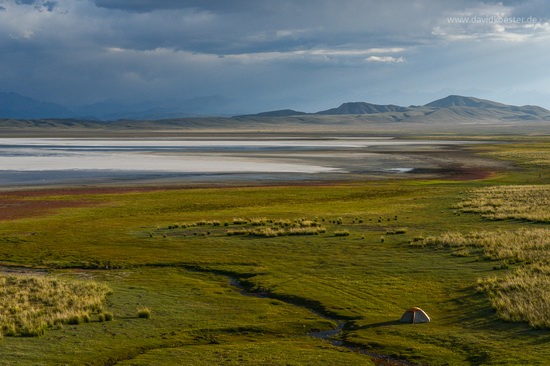 David Koester, Kazakhstan, photo 23