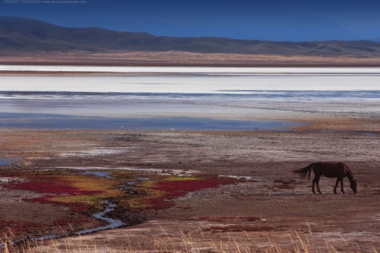 Lake Tuzkol landscape, Kazakhstan, photo 10