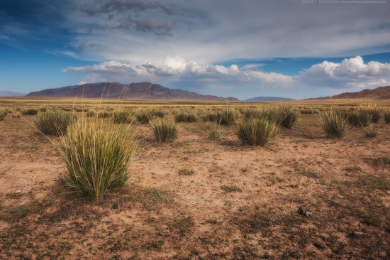 Lake Tuzkol landscape, Kazakhstan, photo 11