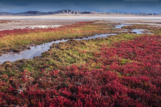 Lake Tuzkol landscape, Kazakhstan, photo 3