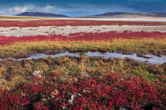 Lake Tuzkol landscape, Kazakhstan, photo 4