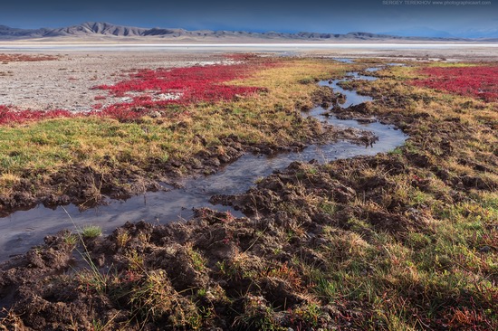 Lake Tuzkol landscape, Kazakhstan, photo 5