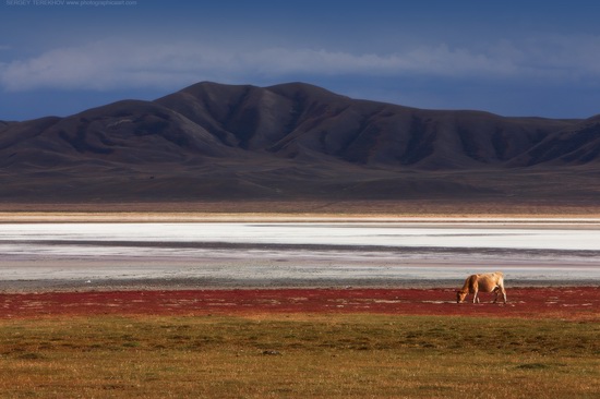 Lake Tuzkol landscape, Kazakhstan, photo 8