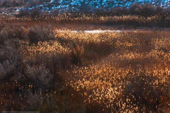 Saryesik-Atyrau desert, Kazakhstan, photo 4