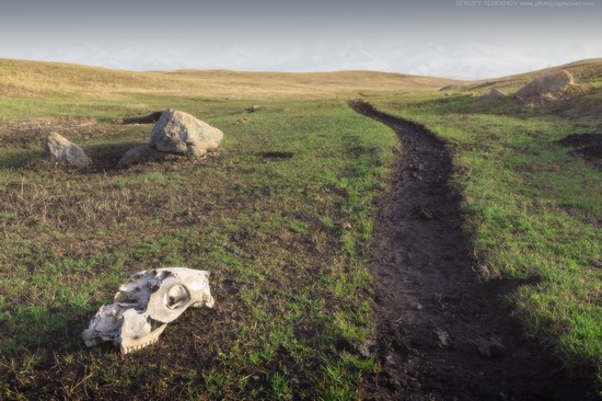 Plateau Ushkonyr, Almaty region, Kazakhstan, photo 10