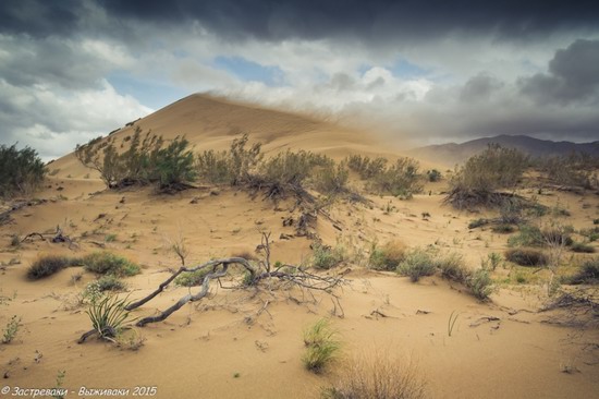 Singing Dune, Altyn Emel National Park, Kazakhstan, photo 4