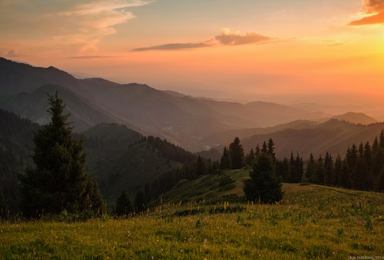 Kim-Asar Valley, Almaty region, Kazakhstan, photo 6