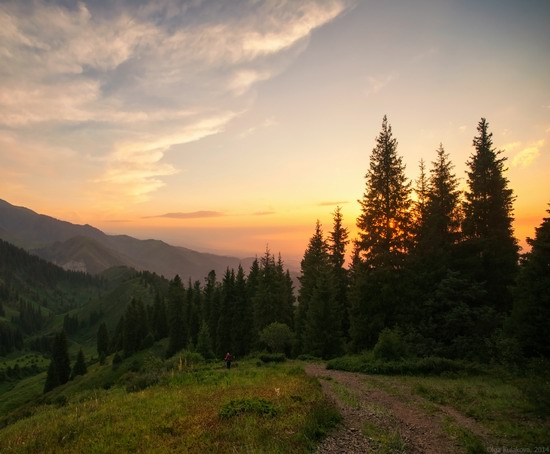 Kim-Asar Valley, Almaty region, Kazakhstan, photo 7