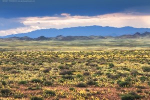 steppe oblast almaty
