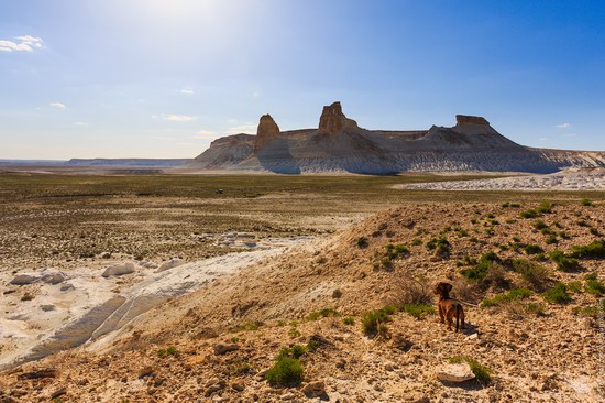 Boszhira Mountain Range, Kazakhstan, photo 14