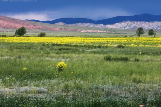 Lake Tuzkol landscapes, Kazakhstan, photo 4