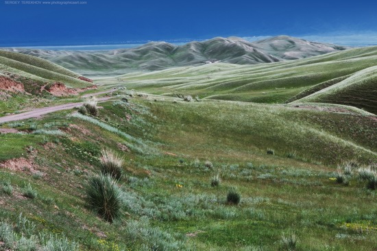 Lake Tuzkol landscapes, Kazakhstan, photo 5