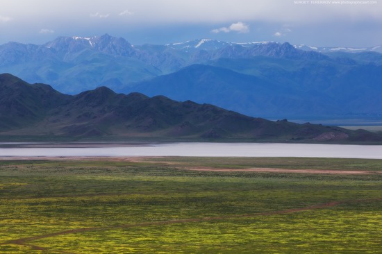 Lake Tuzkol landscapes, Kazakhstan, photo 6