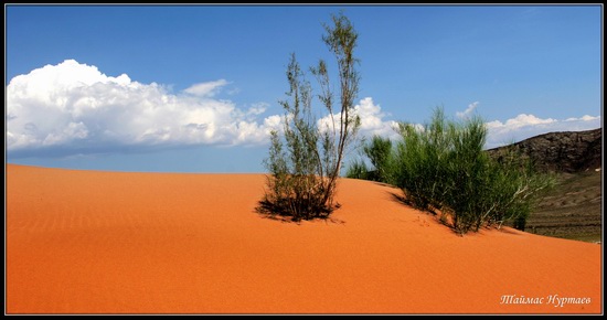 Altyn-Emel National Park, Kazakhstan, photo 4