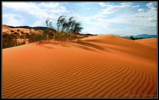 Altyn-Emel National Park, Kazakhstan, photo 7