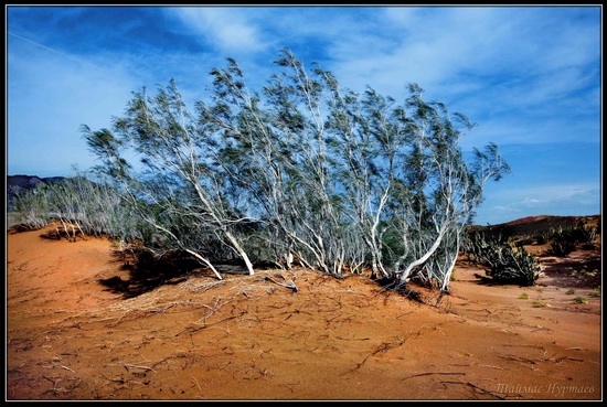 Altyn-Emel National Park, Kazakhstan, photo 8