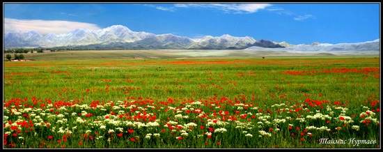 Altyn-Emel National Park, Kazakhstan, photo 9