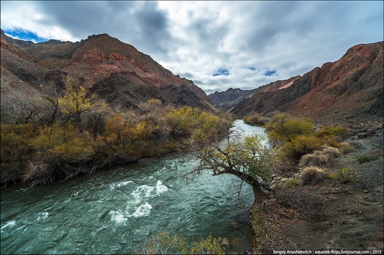 Grand Canyon in Kazakhstan, photo 21