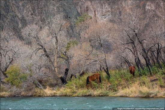 Grand Canyon in Kazakhstan, photo 23