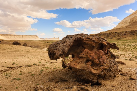 One day on Boszhira Tract, Kazakhstan, photo 10