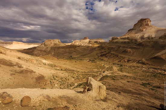 One day on Boszhira Tract, Kazakhstan, photo 15