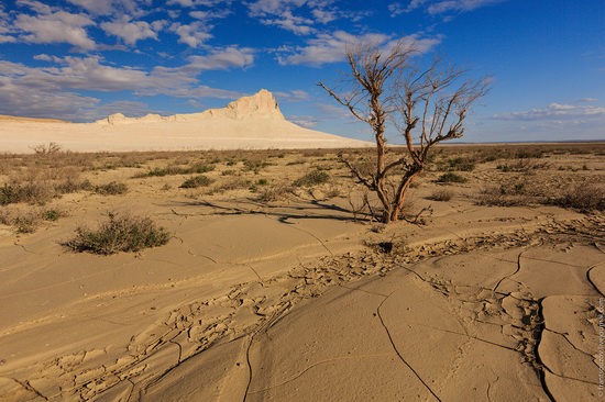 One day on Boszhira Tract, Kazakhstan, photo 19