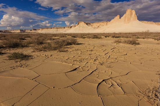 One day on Boszhira Tract, Kazakhstan, photo 20