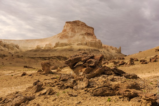 One day on Boszhira Tract, Kazakhstan, photo 5